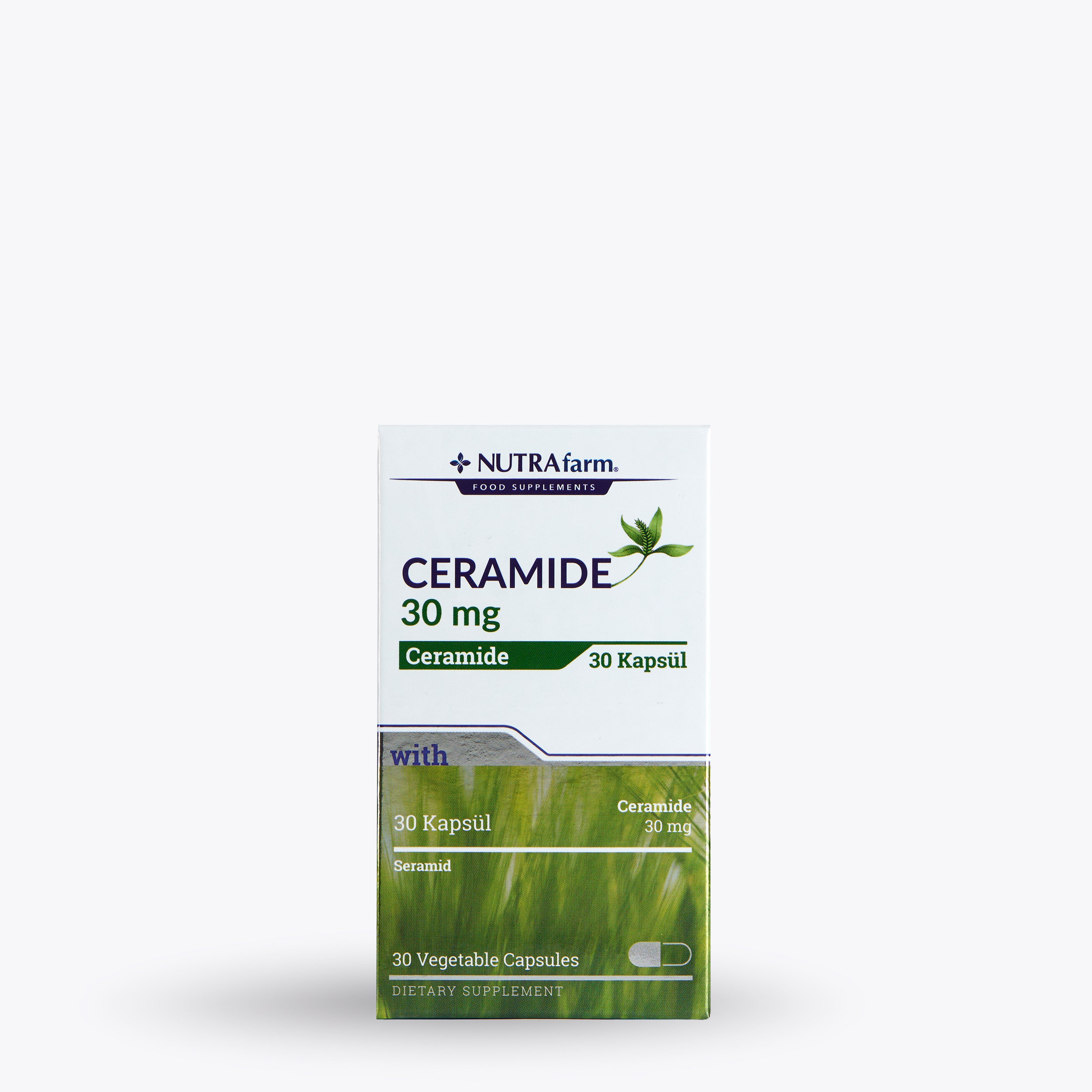 Ceramide_01.jpg