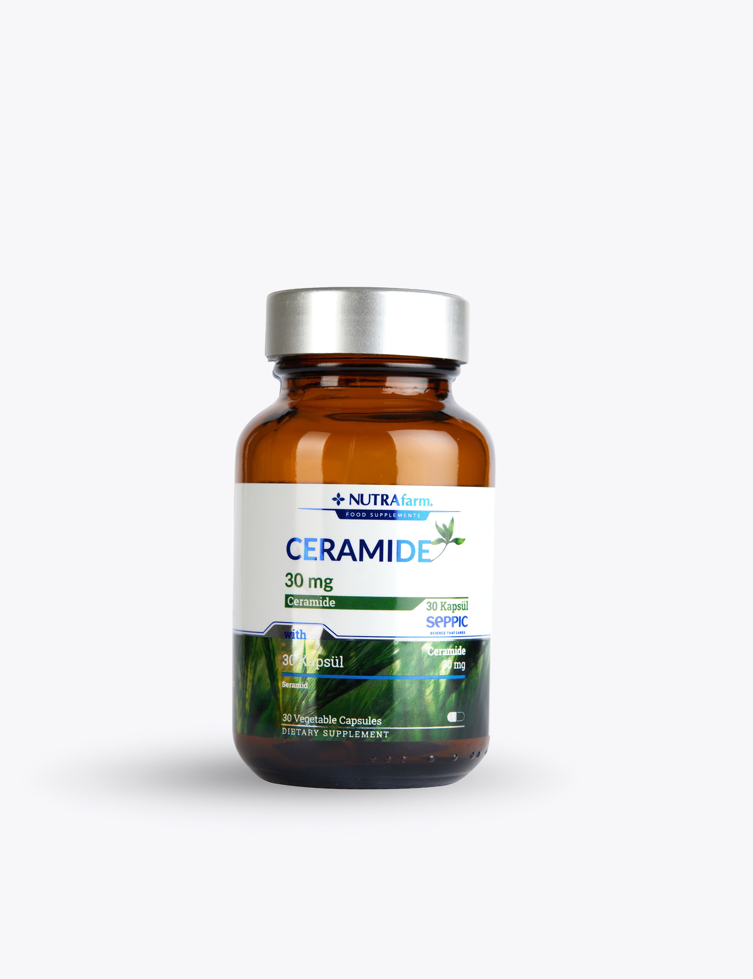 Ceramide_02.jpg