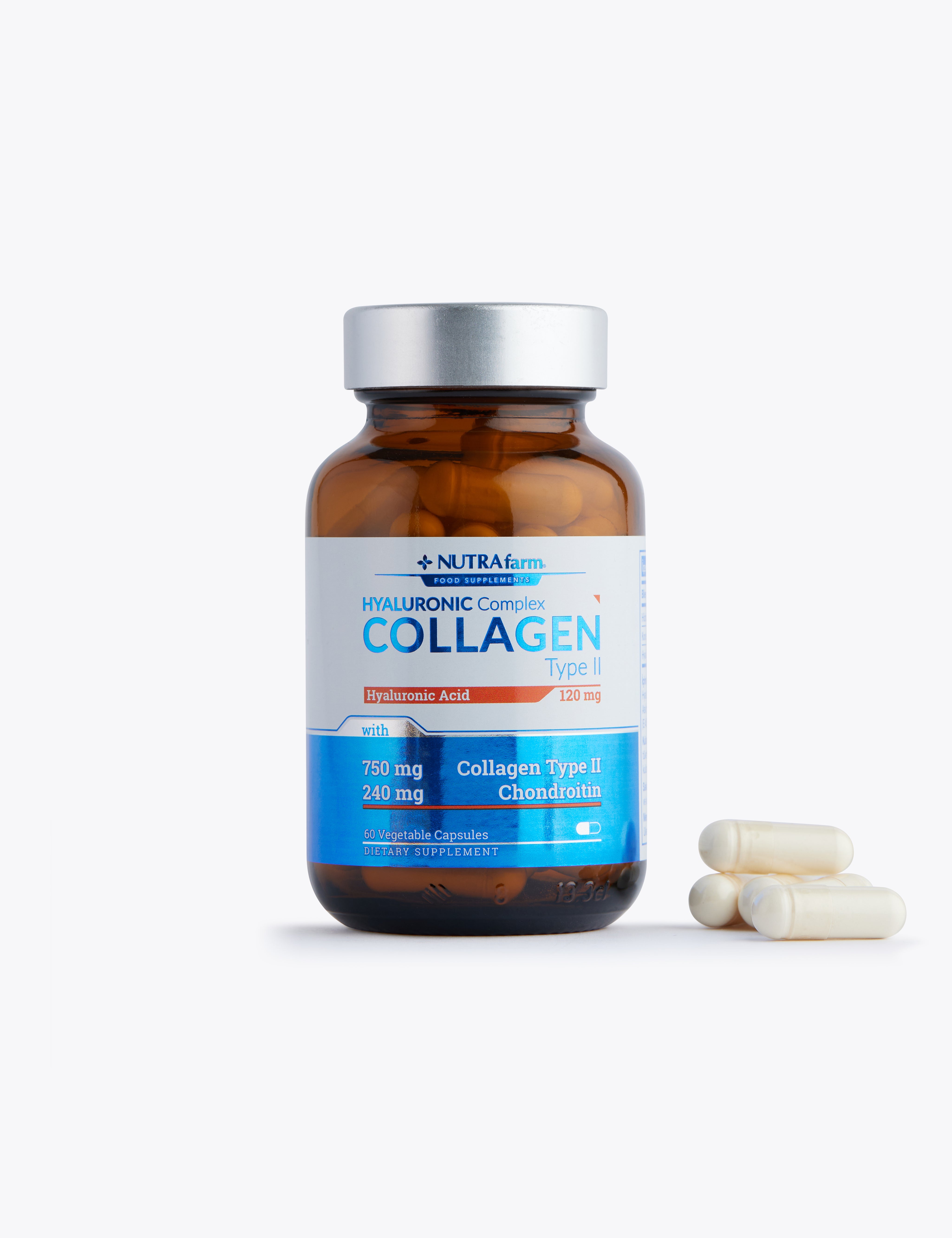 collagentypeII1.jpg